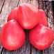 Насіння томатів Кінг-Конг Gl Seeds 0,15 г