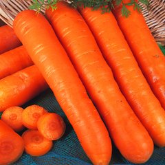 Насіння моркви Нантська Яскрава 3 г 11.1854 фото