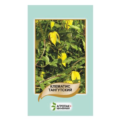 Семена клематиса тангутского Legutko желтый 20 шт 10.1144 фото