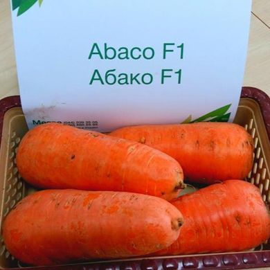 Насіння моркви Абако F1 Seminis 10 г 11.2729 фото