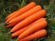 Насіння моркви Віта Лонга Bejo Zaden 1 г