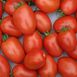 Семена томатов Лагидный 5 г