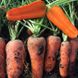 Семена моркови Абако F1 Seminis 10 г