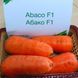 Насіння моркви Абако F1 Seminis 10 г