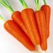 Насіння моркви Абако F1 Seminis 10 г