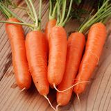 Насіння моркви Оленка Gl Seeds 3 г - купити | Good Harvest