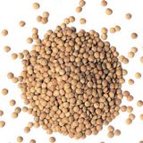Семена чечевицы Луганчанка Солнечный март 40 г - купить | Good Harvest