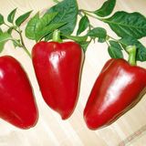 Семена перца Анастасия 0,3 г - купить | Good Harvest