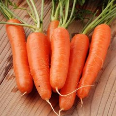 Насіння моркви Альонка Gl Seeds 3 г