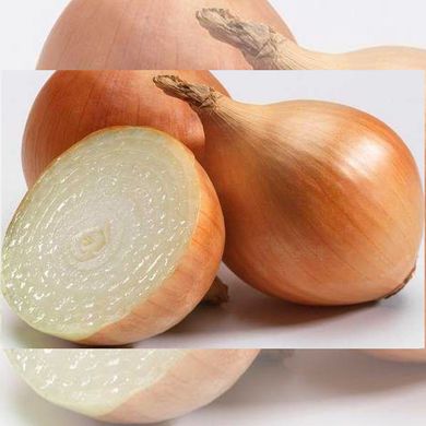 Купідо F1 цибуля саджанка 10/21 озима ультрарання овальна Top Onion Нідерланди 0,5 кг 11.2905 фото