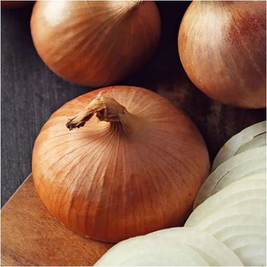 Купидо F1 лук севок 10/21 озимый ультраранний овальный Top Onion Нидерланды 0,5 кг 11.2905 фото
