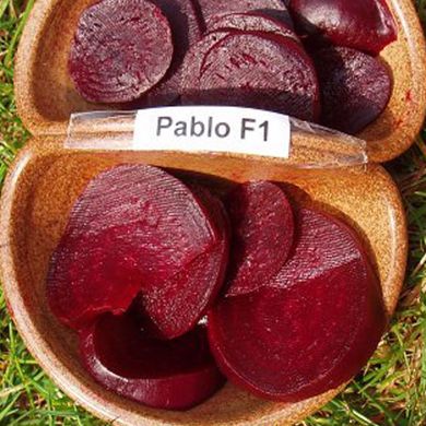 Семена свеклы Пабло F1 Bejo Zaden 750 шт 11.0721 фото