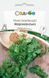 Семена кориандра (кинзы) Марокканский Suba Seeds Садыба 3 г