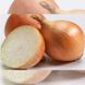 Купидо F1 лук севок 10/21 озимый ультраранний овальный Top Onion Нидерланды 0,5 кг