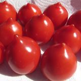 Насіння томатів Гібрид Тарасенко-2 червоний Gl Seeds 0,1 г - купити | Good Harvest