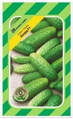 Насіння огірків Акорд F1 Bejo Zaden 20 шт 11.0084 фото