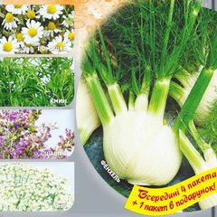 Набір насіння лікарських трав Для схуднення Seedеra