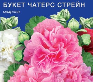 Насіння мальви Букет Чатерз Стрейн Gl Seeds 0,3 г 10.1831 фото