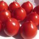 Семена томатов Гибрид Тарасенко-2 красный Gl Seeds 0,1 г