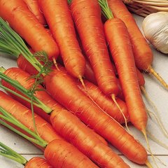 Насіння моркви Вітамінна Яскрава 20 г