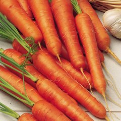 Семена моркови Витаминная Яскрава 20 г