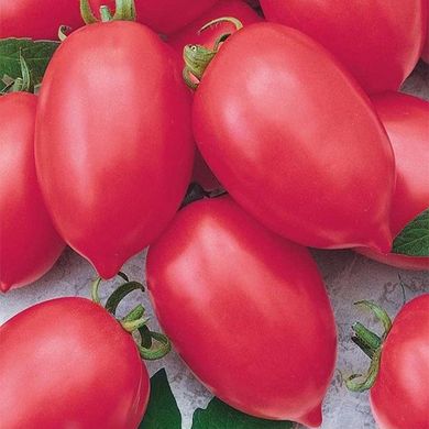 Насіння томатів Гібрид Тарасенко-2 рожевий Gl Seeds 0,1 г 11.2184 фото