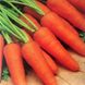 Насіння моркви Ред Кор Gl Seeds 20 г