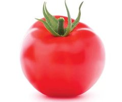 Насіння томатів Ляна 100 шт 11.3055 фото