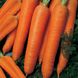 Насіння моркви Тушон Gl Seeds 20 г