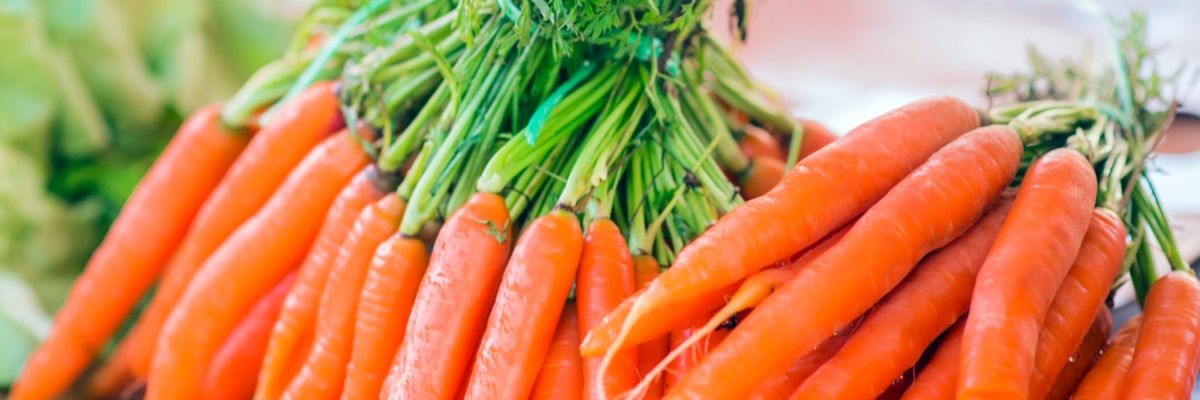 Кращі сорти моркви для підзимового посіву