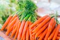 Кращі сорти моркви для підзимового посіву