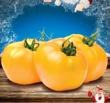 Насіння томатів Колядник 25 шт - купити | Good Harvest