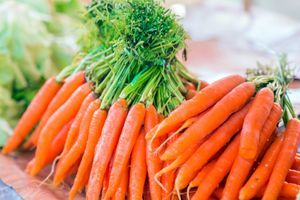 Лучшие сорта моркови для подзимнего посева