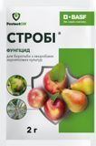 Фунгицид Строби в.г. ProtectOn 2 г 15.0703 фото