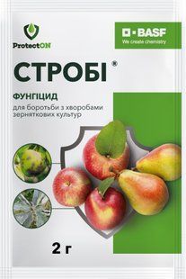 Фунгіцид Стробі В.М. ProtectOn 2 г 15.0703 фото