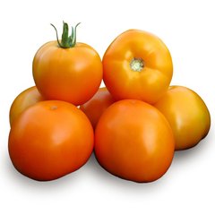 Семена томатов KS 17 F1 биф томат Kitano Seeds Леда 10 шт