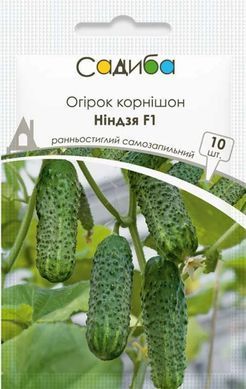 Насіння огірків Ніндзя F1 Hazera 10 шт 11.3437 фото