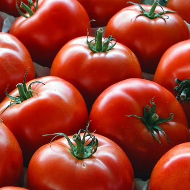 Насіння томатів Куманьок, безрозсадний Агромаксі 0,4 г 11.1334 фото