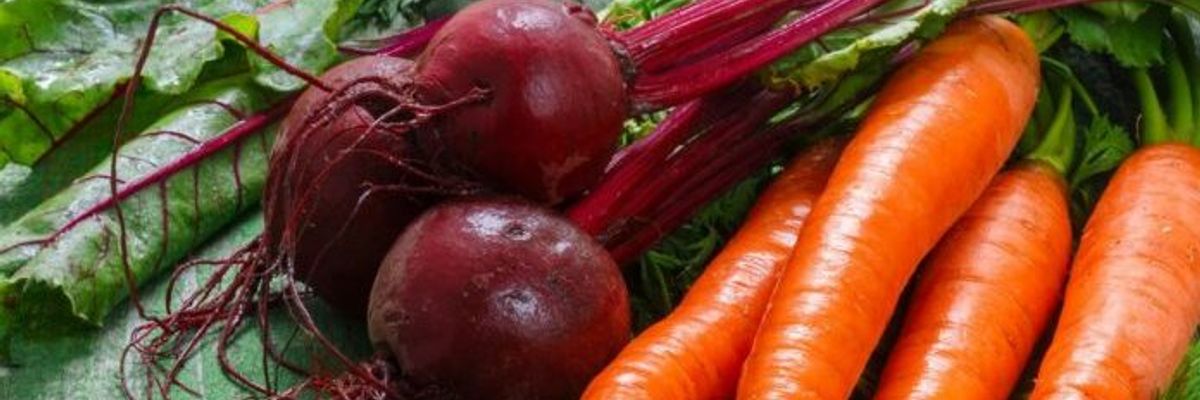 Як правильно закладати на зберігання моркву та буряк