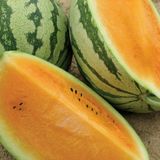 Семена арбуза Оранж Кинг F1 NongWoo Bio PN 8 шт - купить | Good Harvest