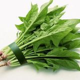 Насіння шпинату Кінг NongWoo Bio 1 г 19.0369 фото