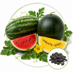 Насіння овочів Насіння кавунів &mdash; купити в інтернет магазині Good Harvest