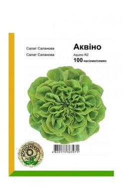 Насіння салату листового Аквіно мультиліф Rijk Zwaan Агропак драже 100 шт 19.0273 фото