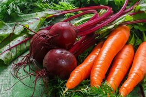 Как правильно закладывать на хранение морковь и свеклу узнать больше