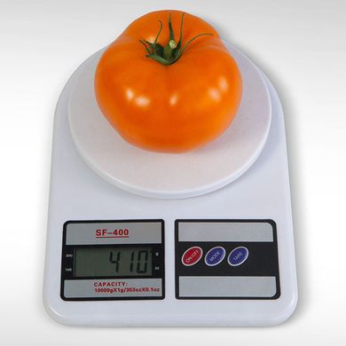 Насіння томатів Айсан F1 Kitano Seeds Леда 10 шт 11.2458 фото