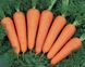 Семена моркови Канада F1 Bejo Zaden 1 г