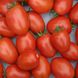 Насіння томатів Лагідний 0,2 г