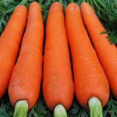 Насіння моркви Червоний Велетень Яскрава 20 г 11.1866 фото