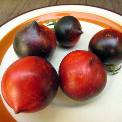 Семена томатов Небеса Орегона Солнечный Март 20 шт 11.2774 фото