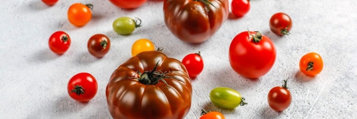 Топ 10 сортів томатів у 2022 році